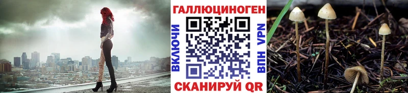 Псилоцибиновые грибы Magic Shrooms  сайты даркнета Telegram  Шагонар 